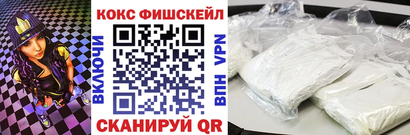 MEGA маркетплейс  наркошоп  Ногинск  КОКАИН FishScale 