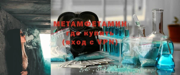сатива Вяземский