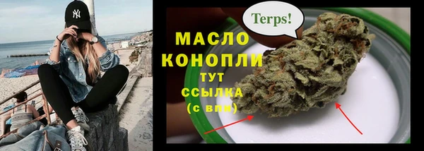 сатива Вяземский