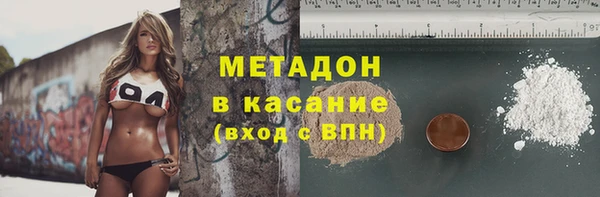 сатива Вяземский