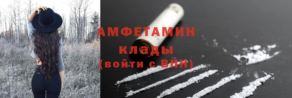 сатива Вяземский