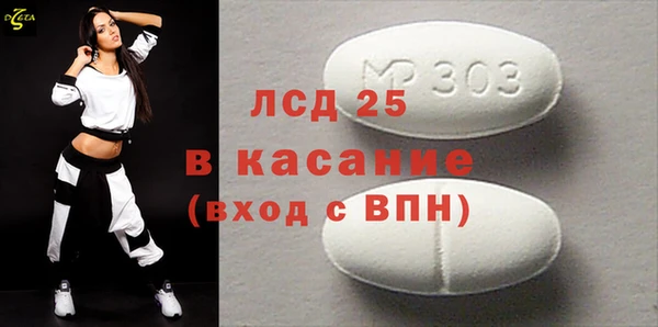 сатива Вяземский