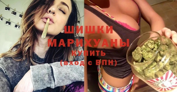 сатива Вяземский