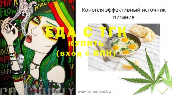 ПСИЛОЦИБИНОВЫЕ ГРИБЫ Вязники