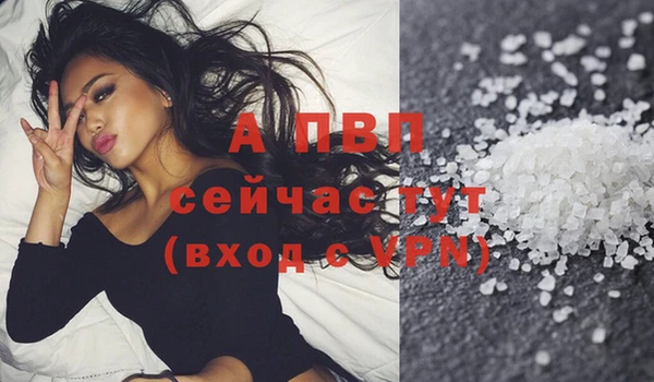 ПСИЛОЦИБИНОВЫЕ ГРИБЫ Вязники