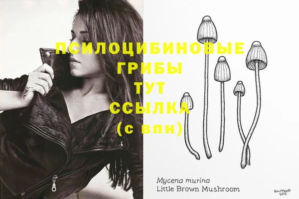 сатива Вяземский