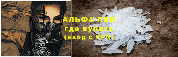 сатива Вяземский