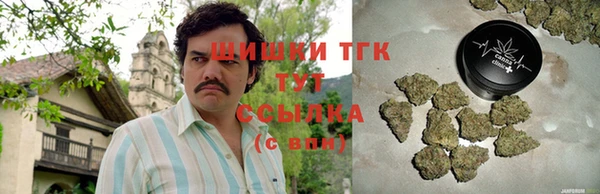 ПСИЛОЦИБИНОВЫЕ ГРИБЫ Вязники