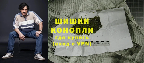 сатива Вяземский