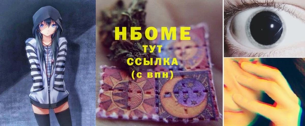 ПСИЛОЦИБИНОВЫЕ ГРИБЫ Вязники