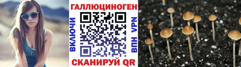 Галлюциногенные грибы MAGIC MUSHROOMS  где найти   Ногинск 