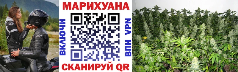 Бошки марихуана индика Ногинск